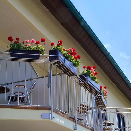 Hotel Garni Schacherer Mullheim  Exterior photo